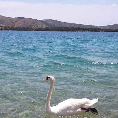 Oleander Nyaraló Žaborić