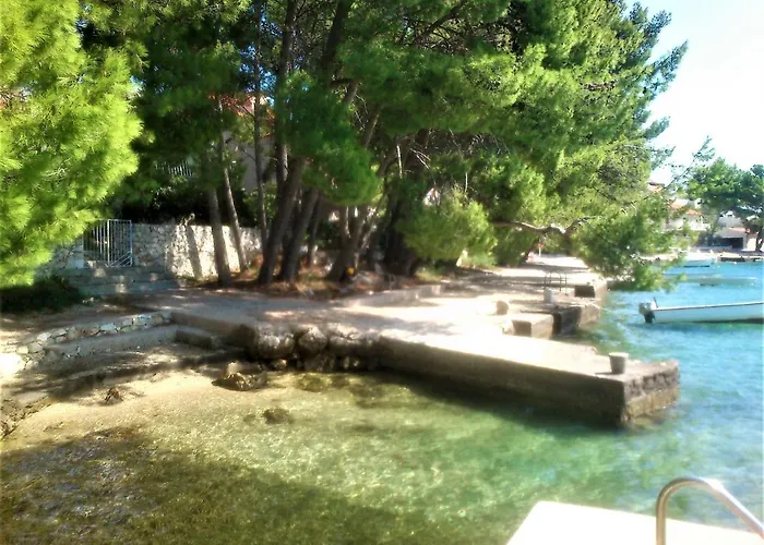 Oleander * ז'אבוריץ'