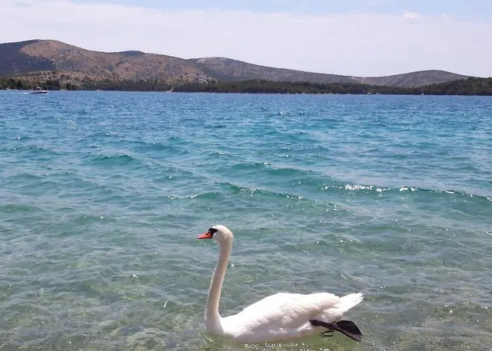 Oleander Casa vacanze Zaboric